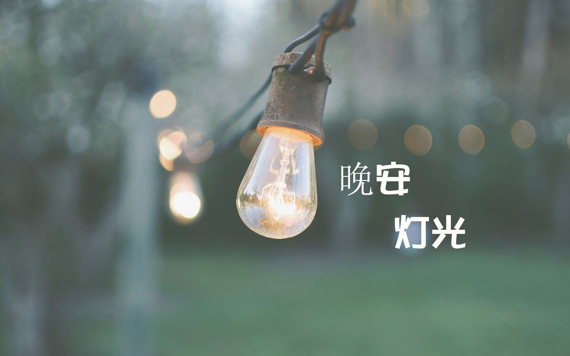 太阳推出新球迷口号“光耀西部”，引发社交媒体热议，太阳球队官网