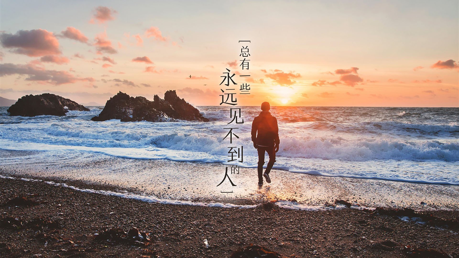 德甲：勒沃库森3-2战胜霍芬海姆，攻势凌厉场面火爆，勒沃库森对霍芬海姆比分预测