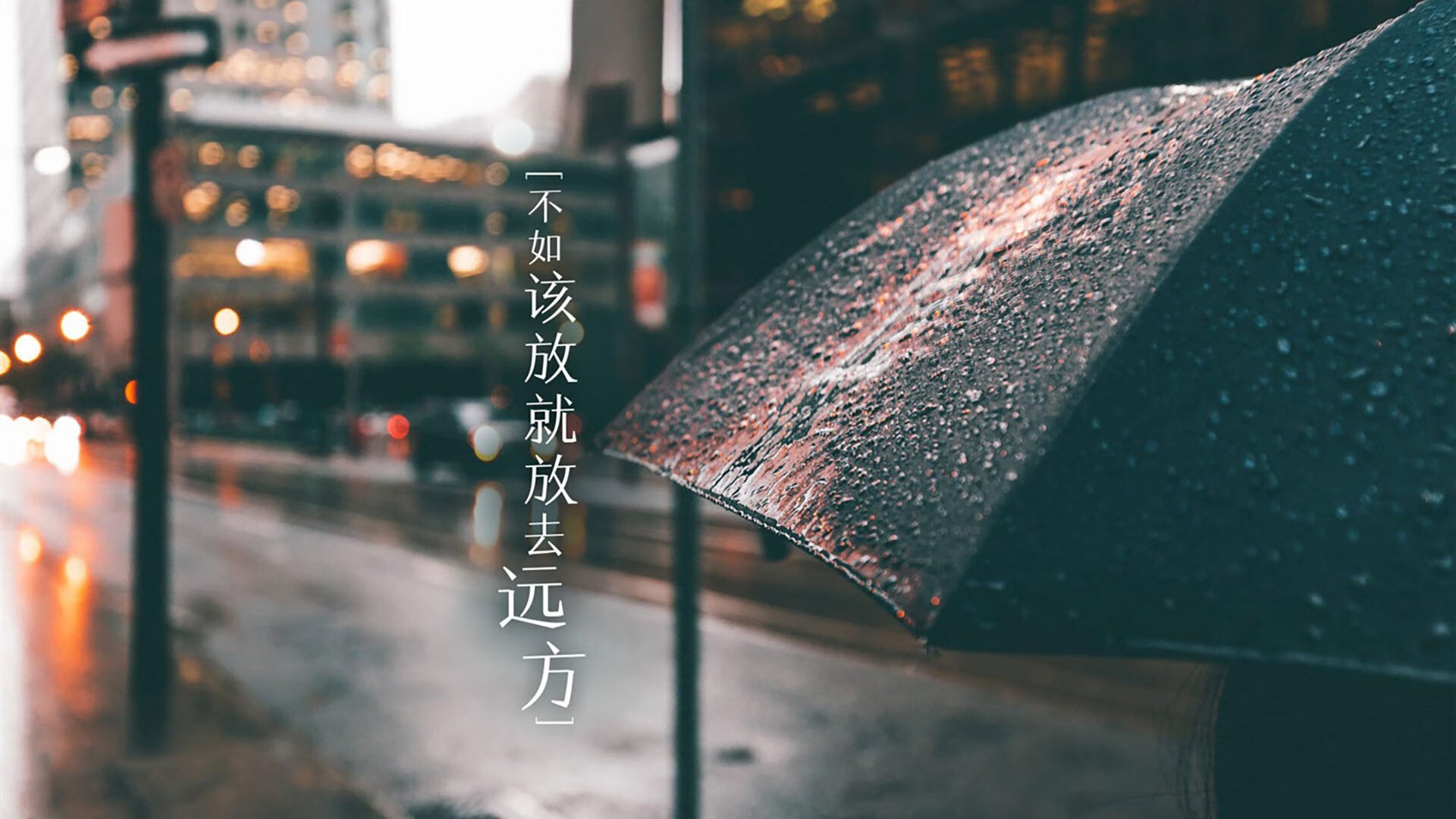 现场观众互动：投票选出“最佳亮点”，观众投票怎么算分
