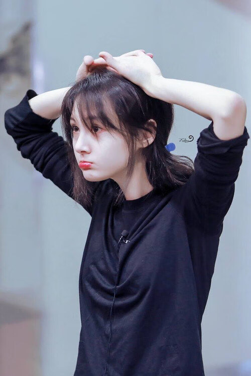 赛场“铁血防线”，最坚固的后防组合揭秘，铁血防御怎么玩