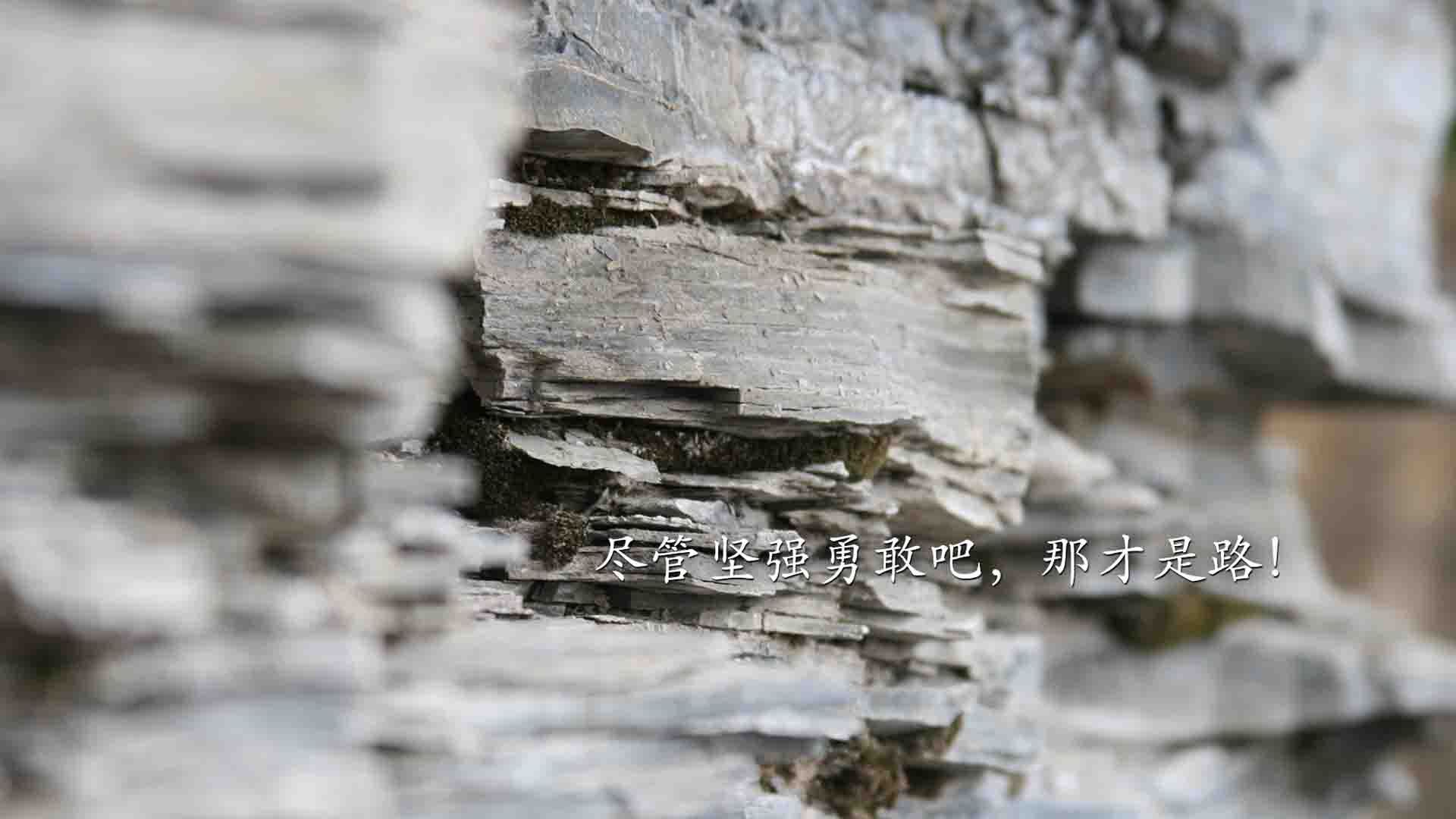 足球场地开放时间延长，方便群众锻炼，足球场免费开放国家政策