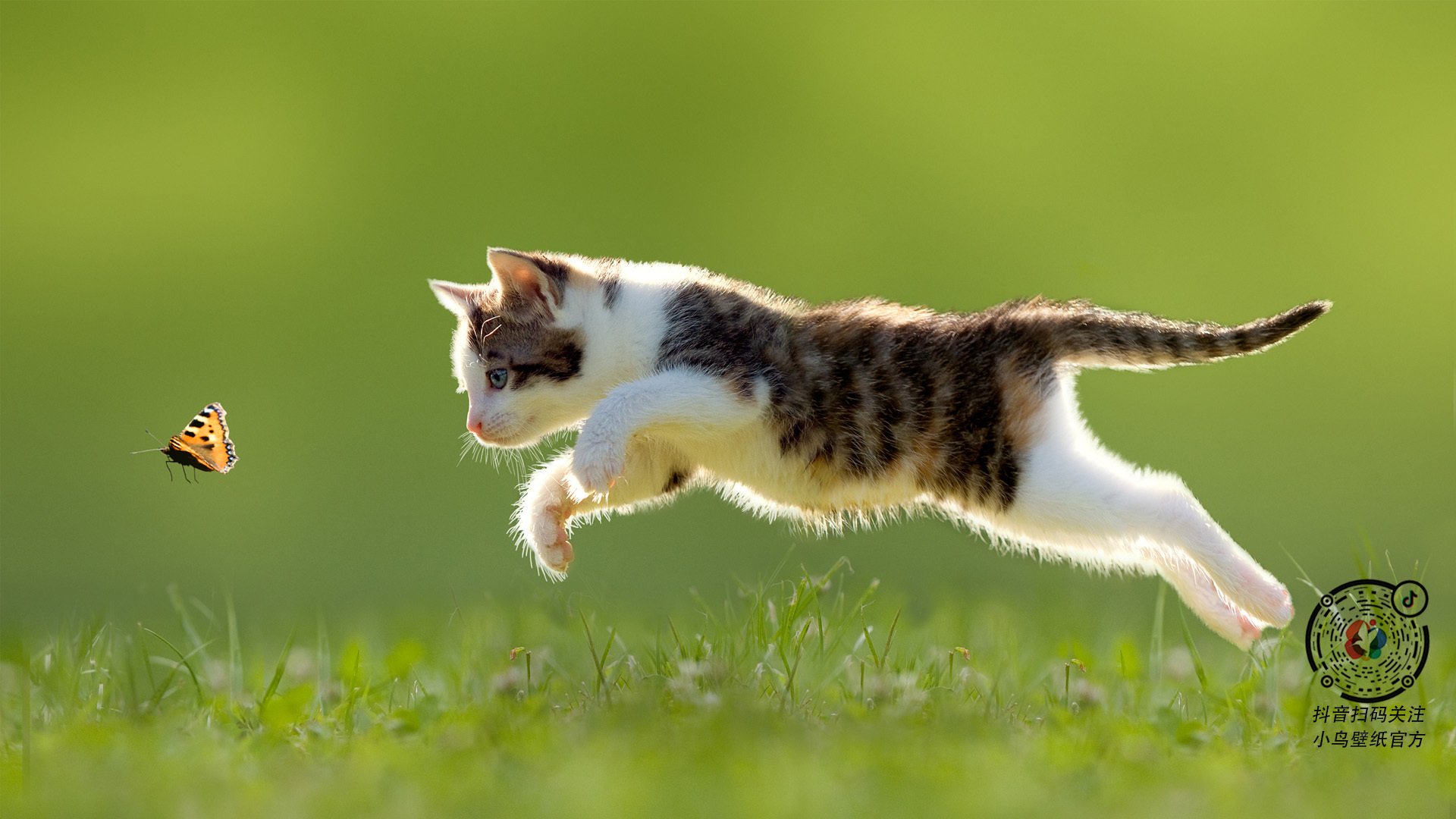 爱游戏app-中甲联赛的俱乐部球迷互动平台建设方案实施方案，足球俱乐部社交媒体排行