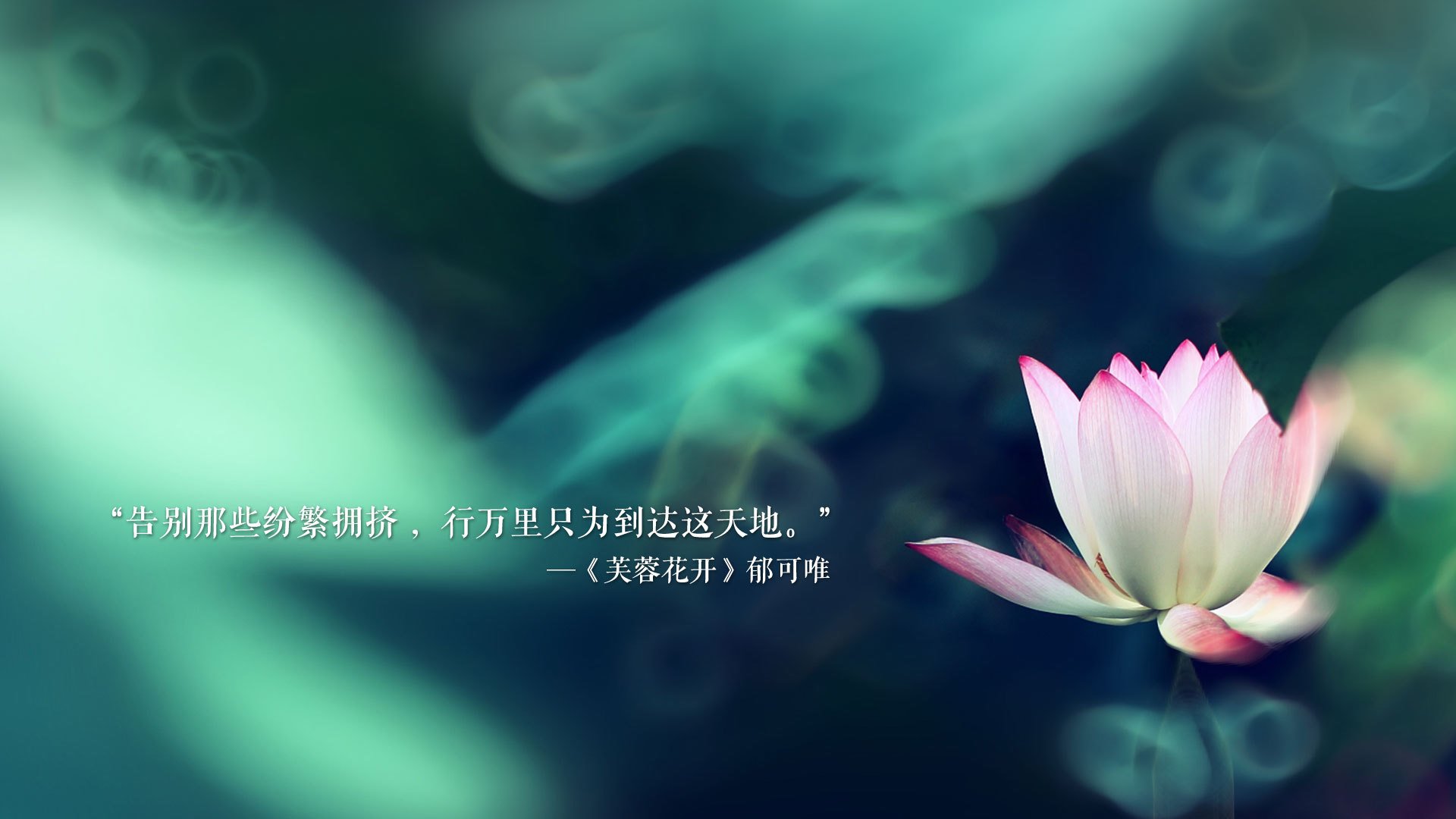 篮板争夺战成为灰太狼的重灾区，官方呼吁改进，篮板介绍