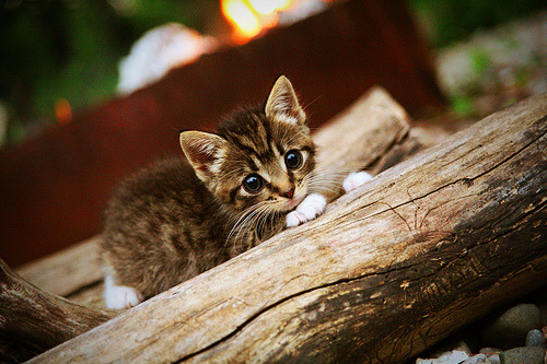 爱游戏app下载-五大联赛是否正经历攻强守弱新周期轮回，五大联赛的强队