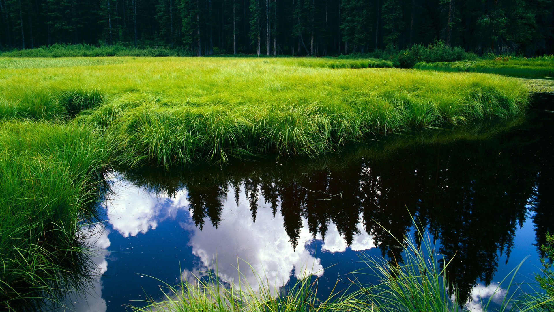 全国青少年武术套路比赛展现中华文化魅力,全国青少年武术套路锦标赛规程