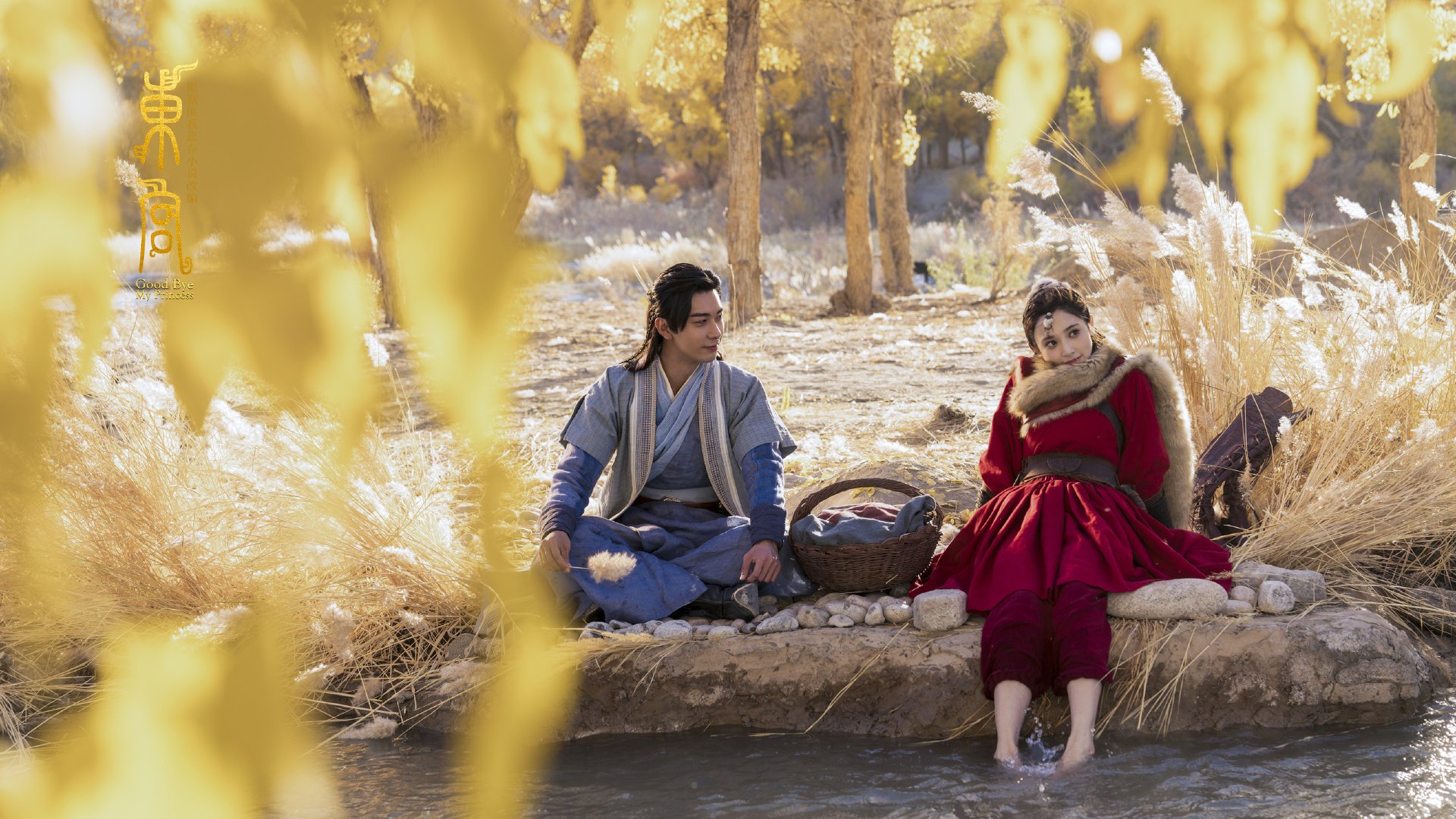 职业球员退役转型面临挑战,球员退役后