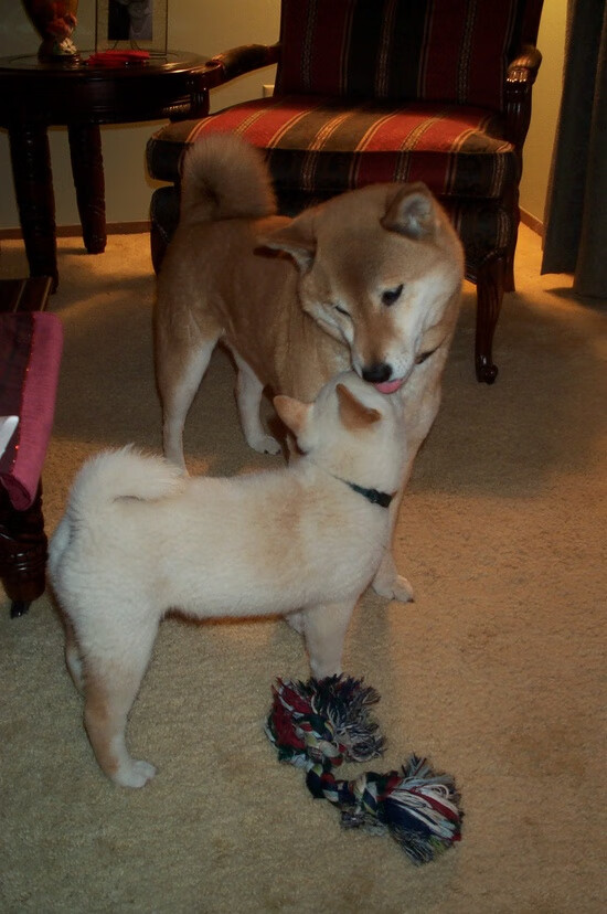 中国篮球协作多方资源推动篮球场馆建设提档升级，中国篮球场长宽多少米