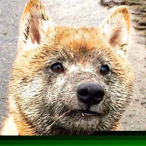 爱游戏官方网站-女足比赛场地标准化推进整体比赛环境更为专业，女足比赛的规则