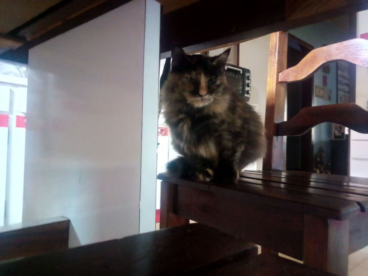 篮球训练器械更新换代提高科学训练效率减少损伤风险,篮球训练器材清单表