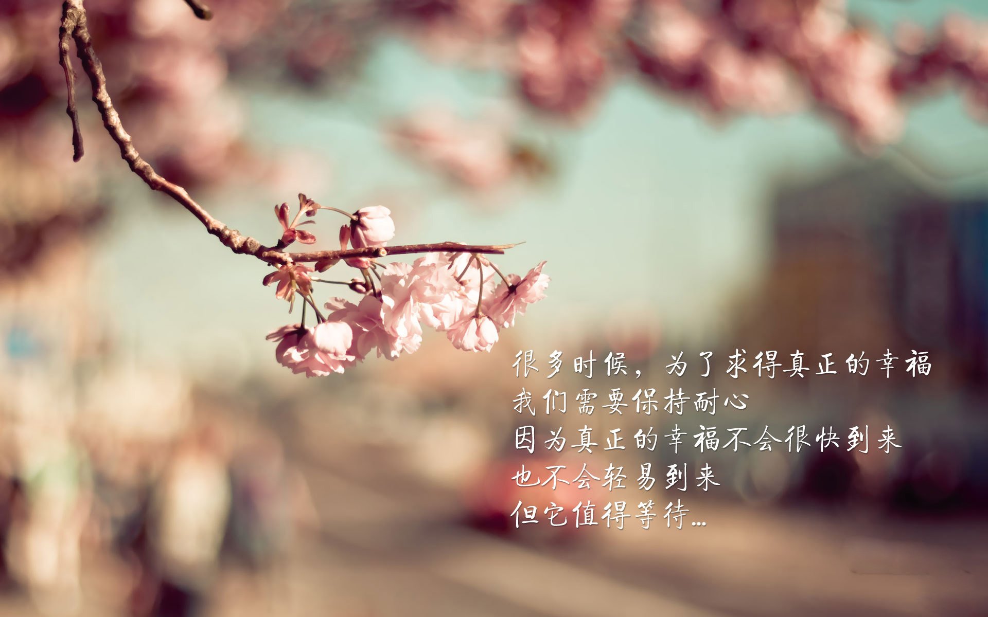 隆戈在1995年世界杯的经典突破，永载橄榄球史册