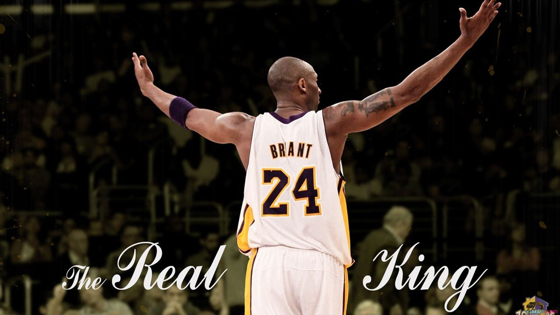 球星魅力：场上场下的多重角色解读，场上球员